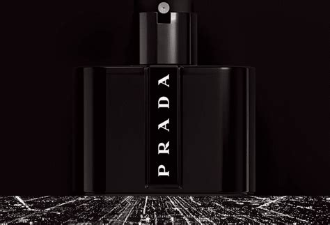 prada black scent notes|Prada black sample.